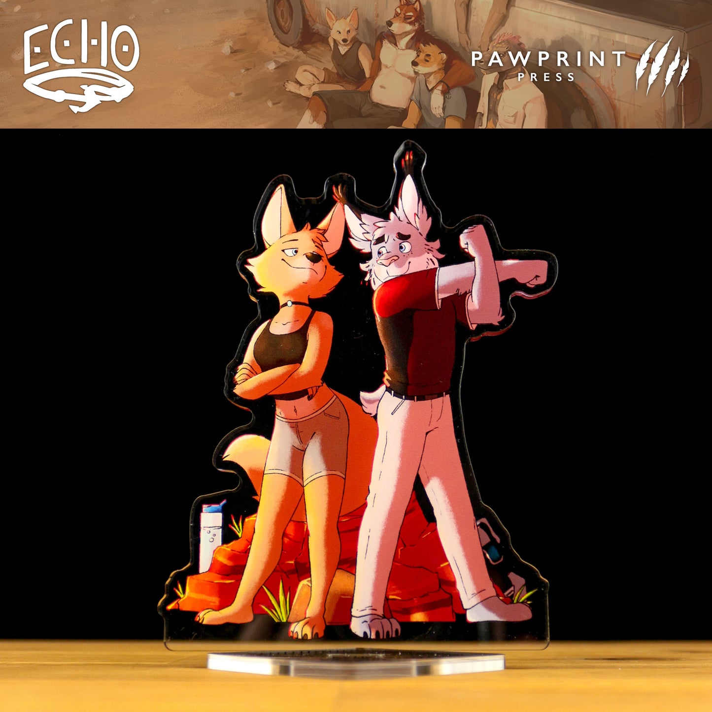 Echo: Acrylic Stand Set